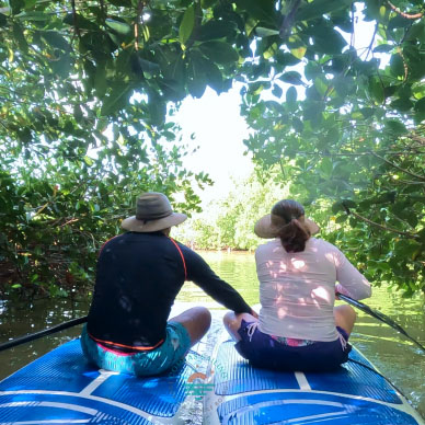 Renta de Paddle Board Progreso