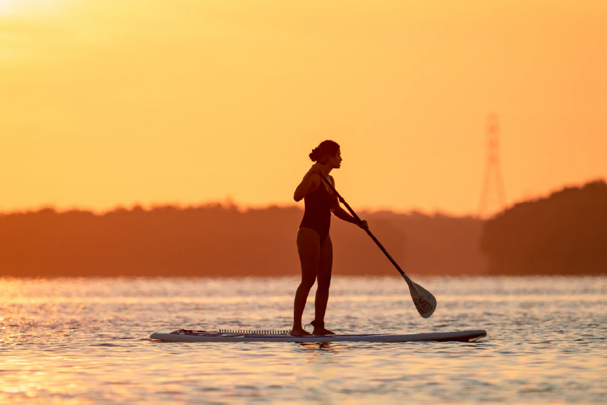 Paddle board en Mérida: descubre una experiencia entre los manglares de Progreso, Yucatán. Disfruta un tour de naturaleza cerca de la ciudad con Compas Sailing.