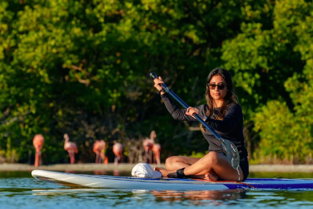 Paddle board en manglar de Progreso Yucatán actividad recreativa.
