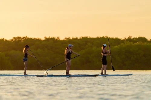 Contacto | Compas Sailing en Progreso Yucatán