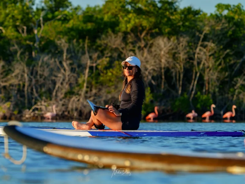 Paddle Board en Progreso, Yucatán: una forma diferente de explorar el mar y el manglar.